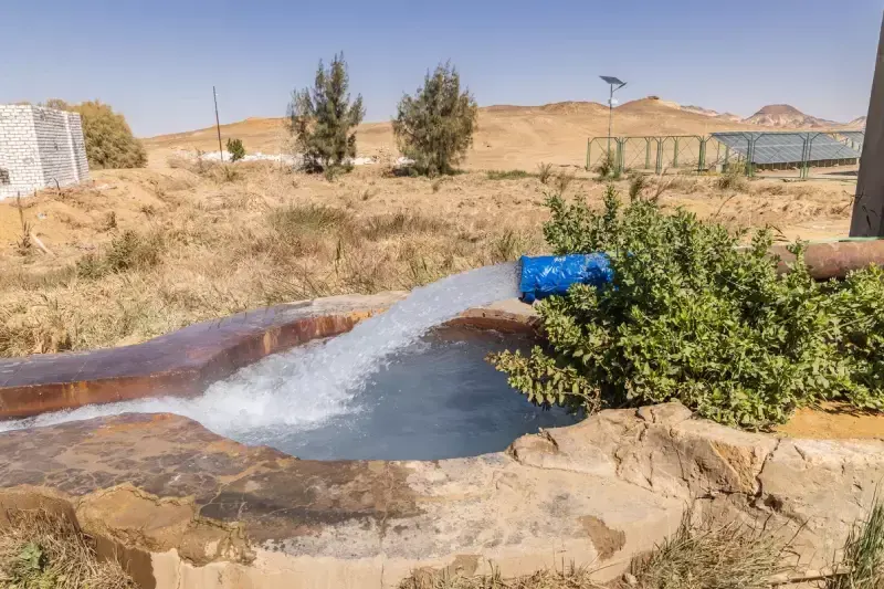 oasi di bahariya, escursione al deserto bianco e oasi di bahariya